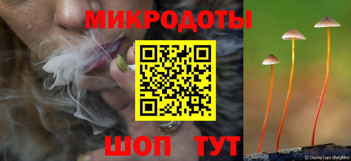 Псилоцибиновые грибы Magic Shrooms  Галлюциногенные грибы Cubensis  Вход с VPN  Санкт-Петербург 